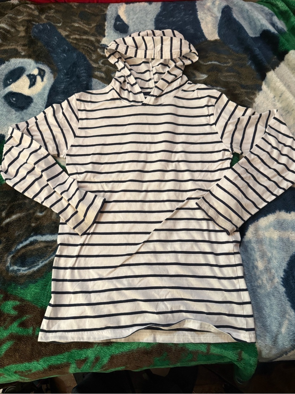 The Children's Place White and Navy Hooded Long Sleeve Tee